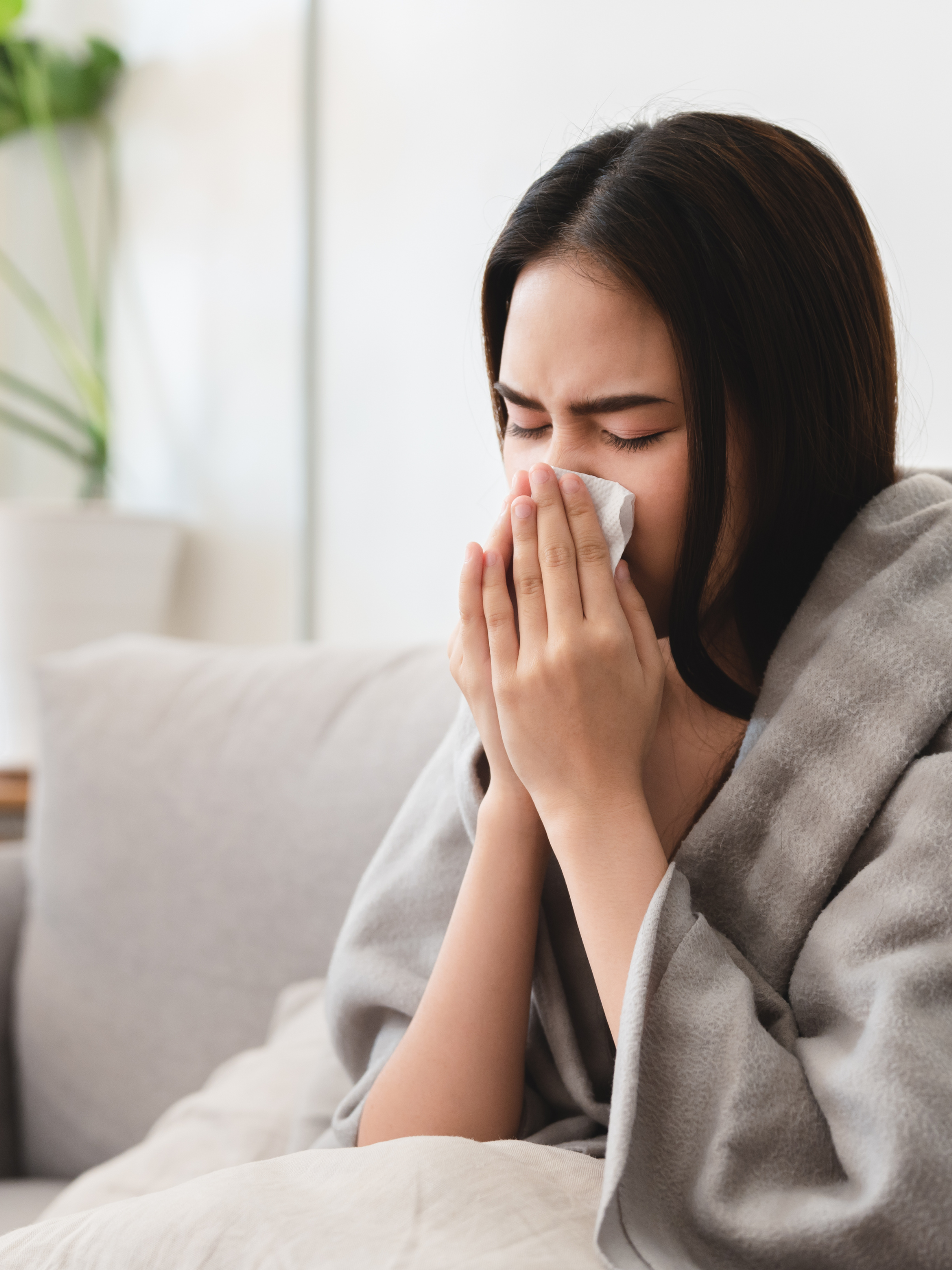 How can we support our immune health through the gut?