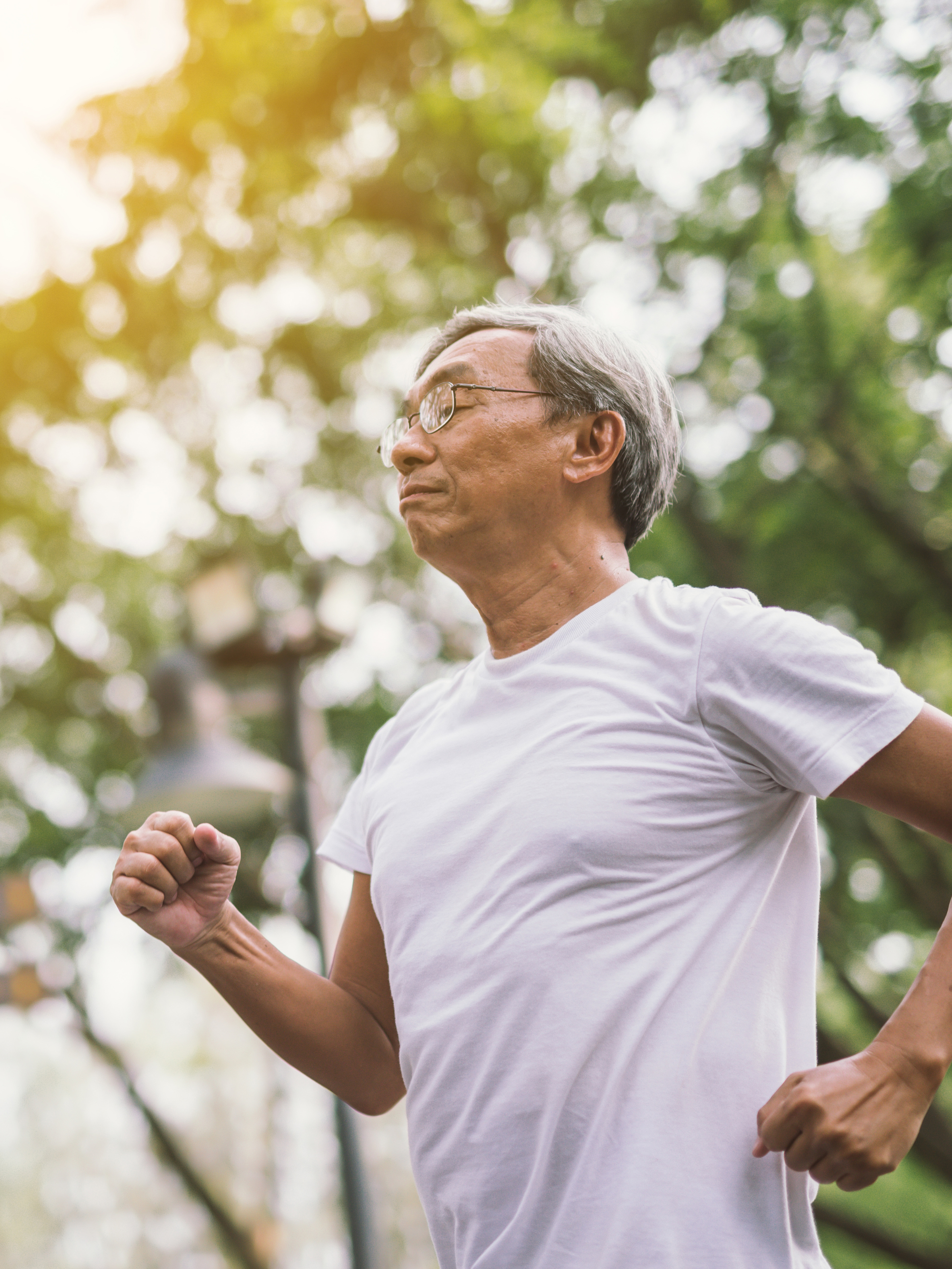 Unlocking longevity with prebiotic fibre 