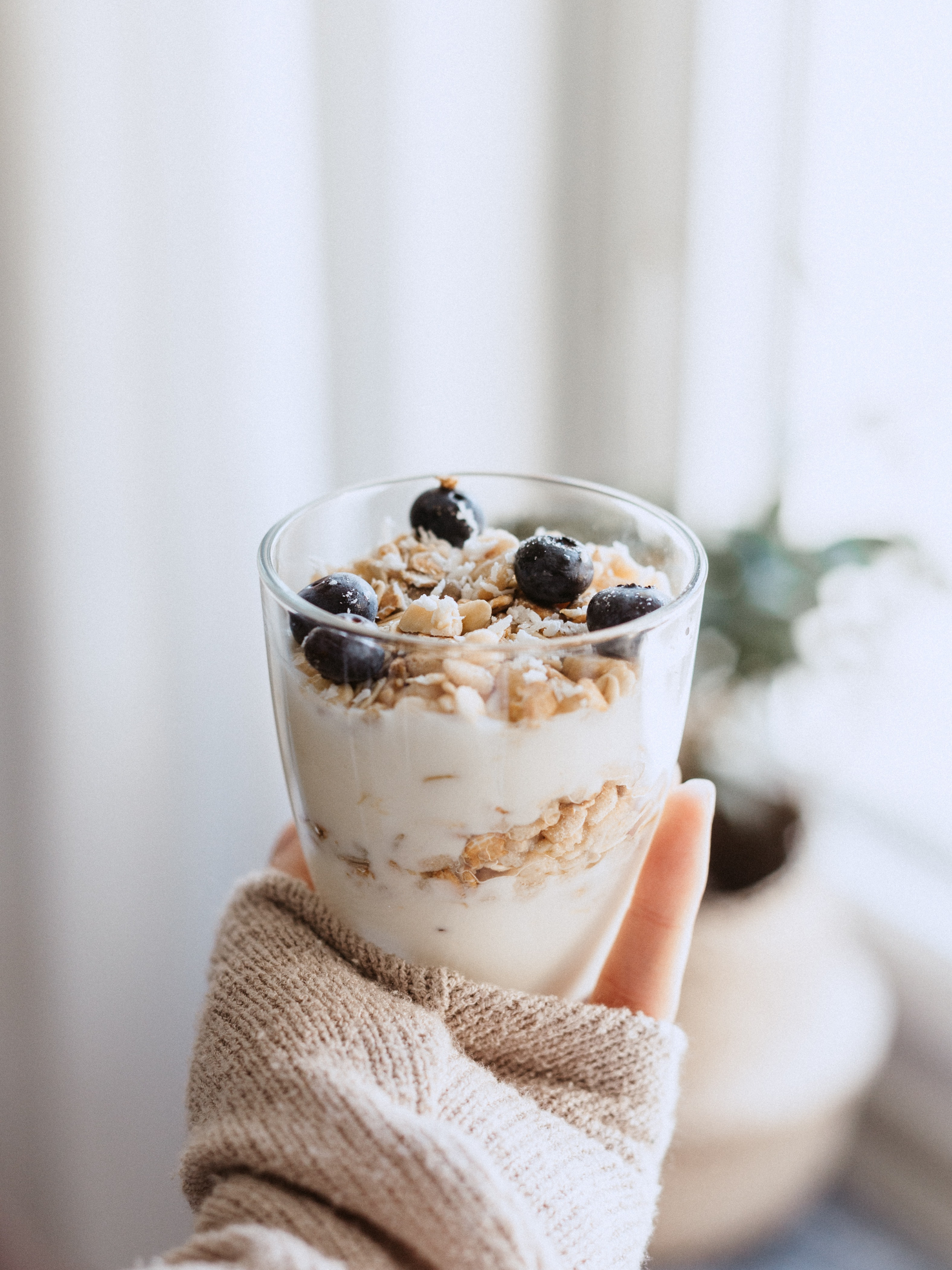 Probiotics vs prebiotics: what's the difference?