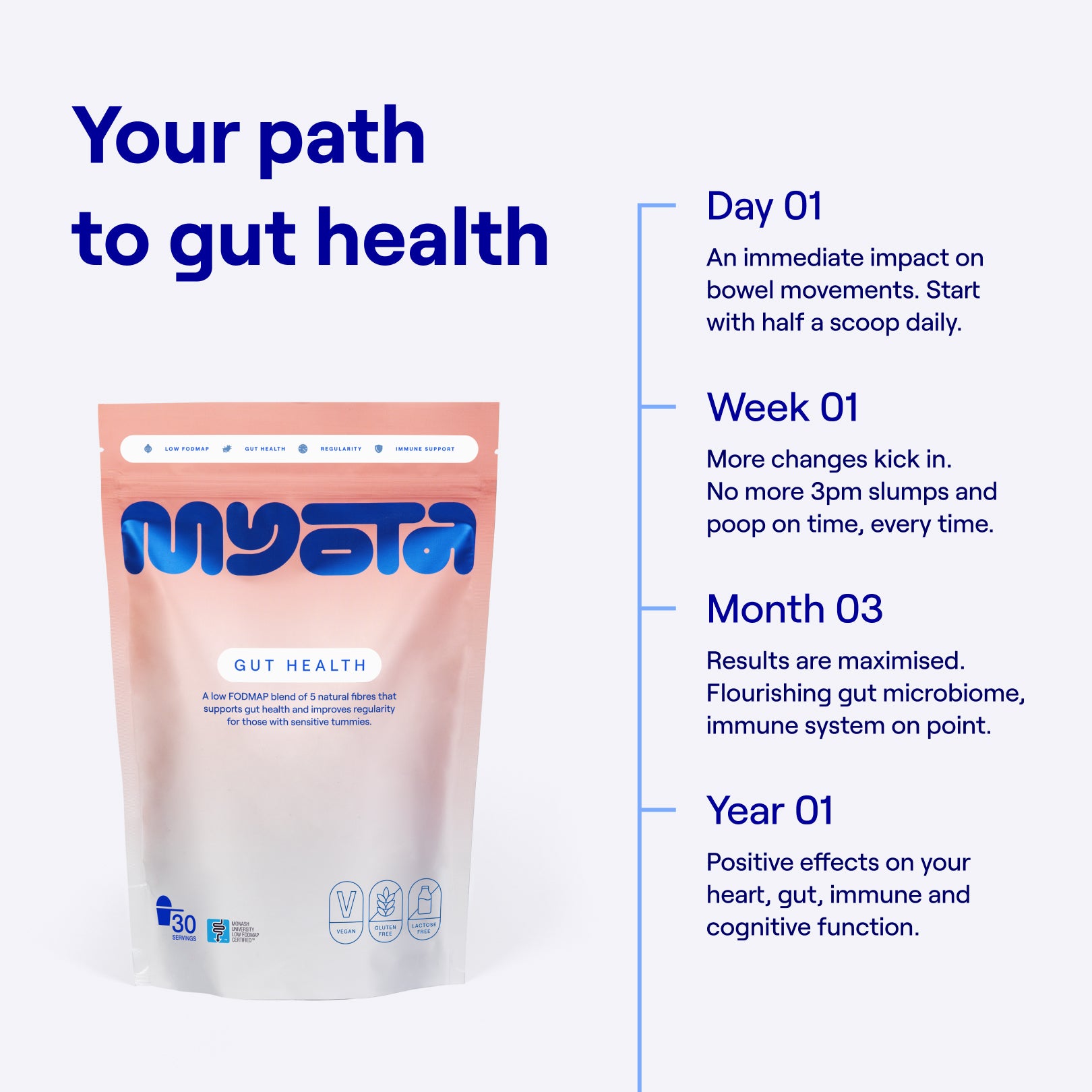 Gut Health fibre blend (3-pack trial)