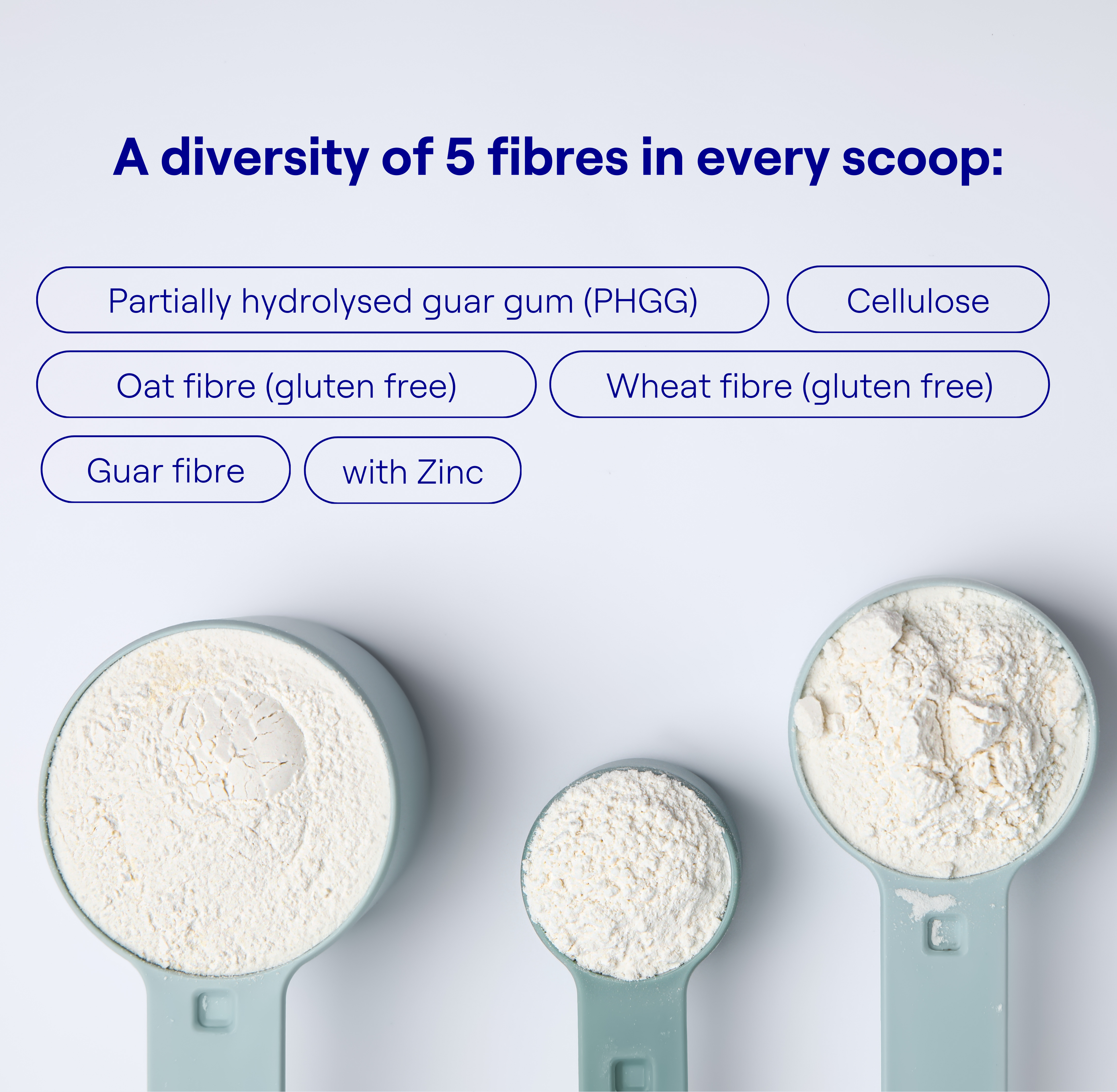 Gut Health fibre blend