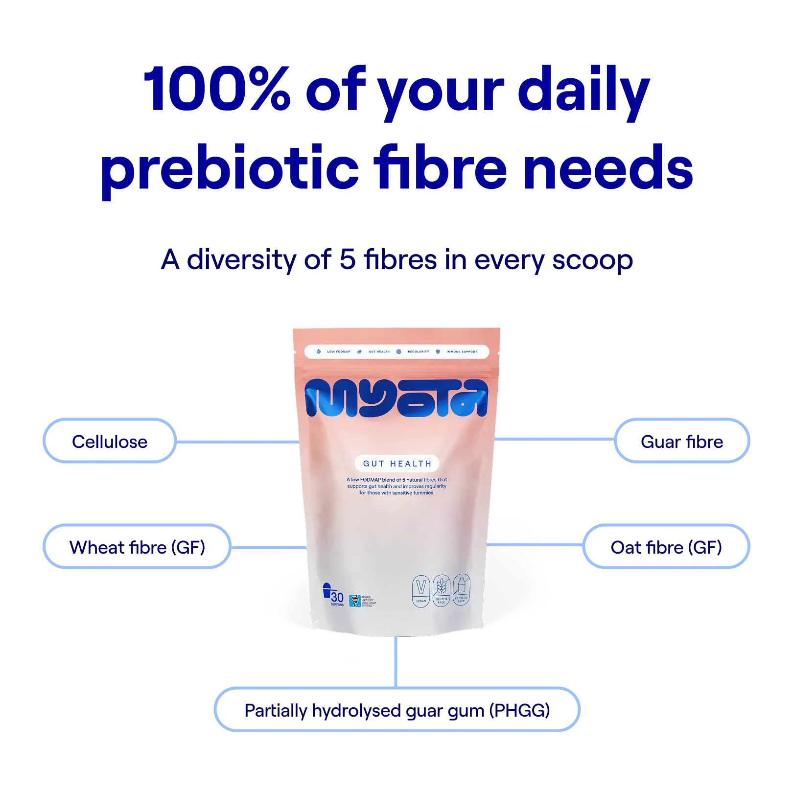 Black Friday Deal: Monthly Fibre + Bars Subscription